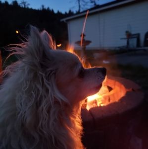 Meet your Posher, Kathi